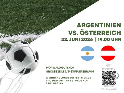 World Cup Public Viewing