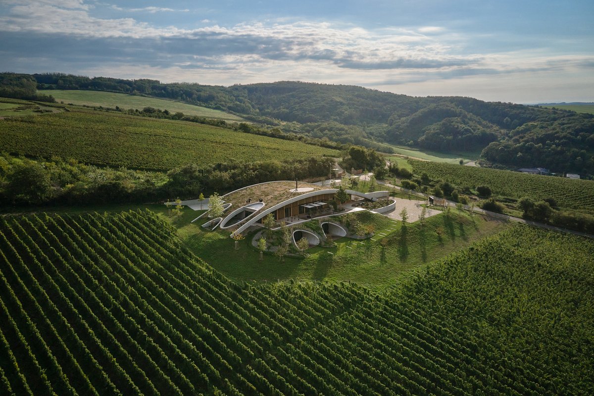Gurdau Winery – Exclusive Wine Evening & Gourmet Dinner