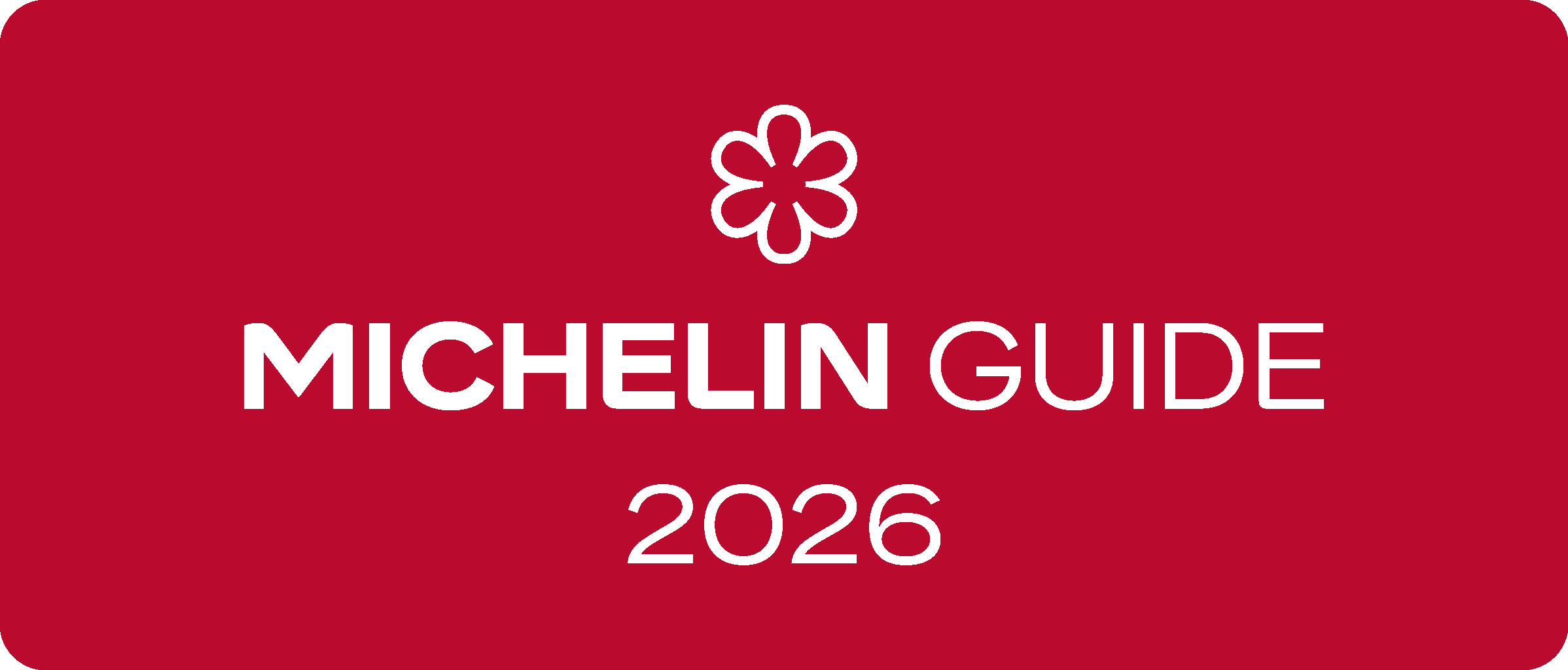 Michelin Stern 2026